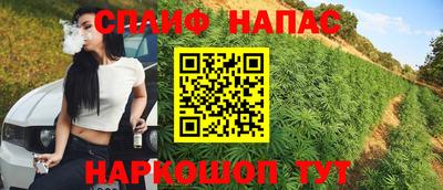 прущие грибы Аргун