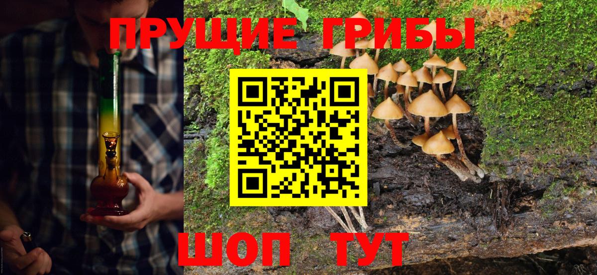 дарнет шоп  Вход с VPN  Воркута  Галлюциногенные грибы Cubensis 